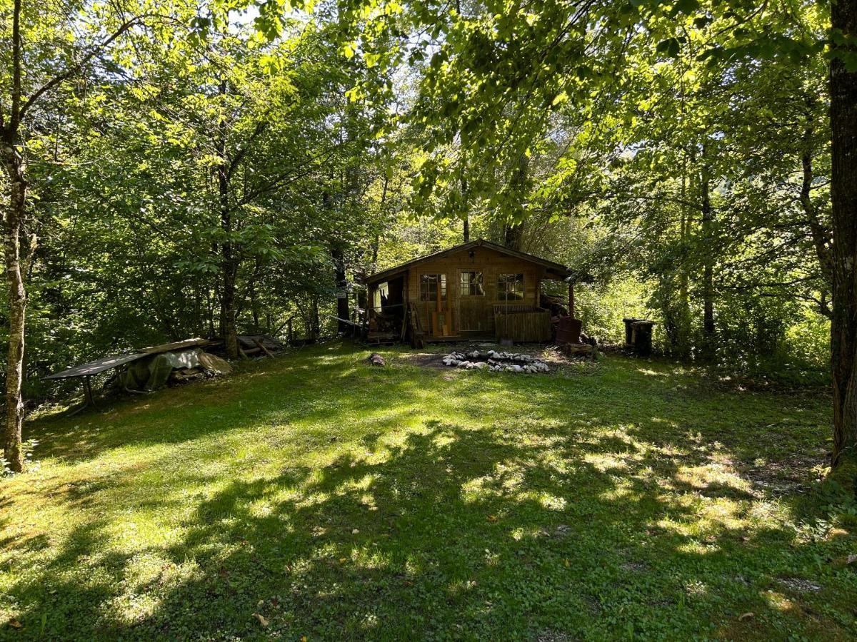 Haus Am Wald -Fewo 2 マルクトシェレンベルク エクステリア 写真
